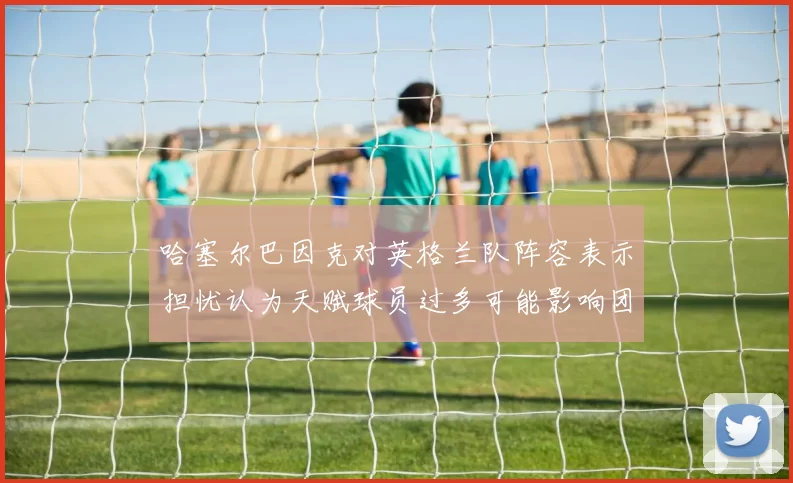 哈塞尔巴因克对英格兰队阵容表示担忧认为天赋球员过多可能影响团队合作